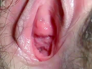 Free pussy XXX Videos