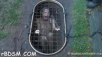 Free sadomasochism videos