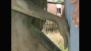 --redlight-fmd 0212 01